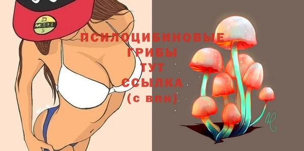a pvp Аркадак