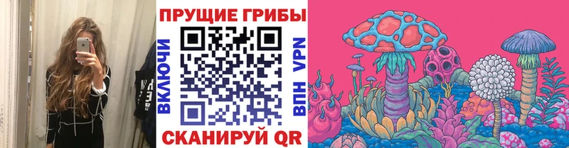 Галлюциногенные грибы мицелий  сколько стоит  Лыткарино 